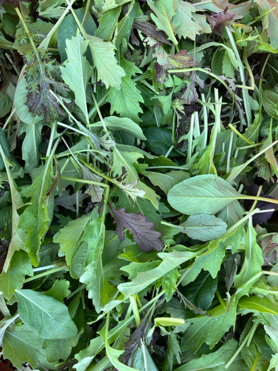 Farmer's Choice Vegetable Box