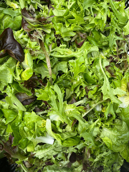 Baby Lettuce Mix