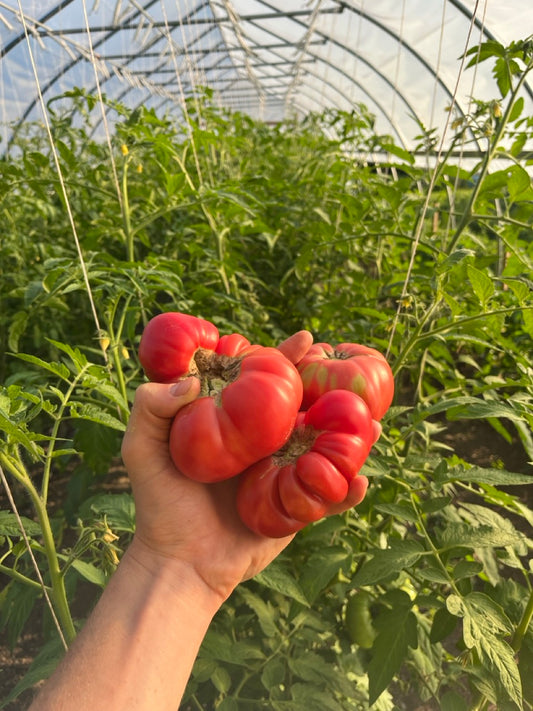 Farmer's Choice Vegetable Box