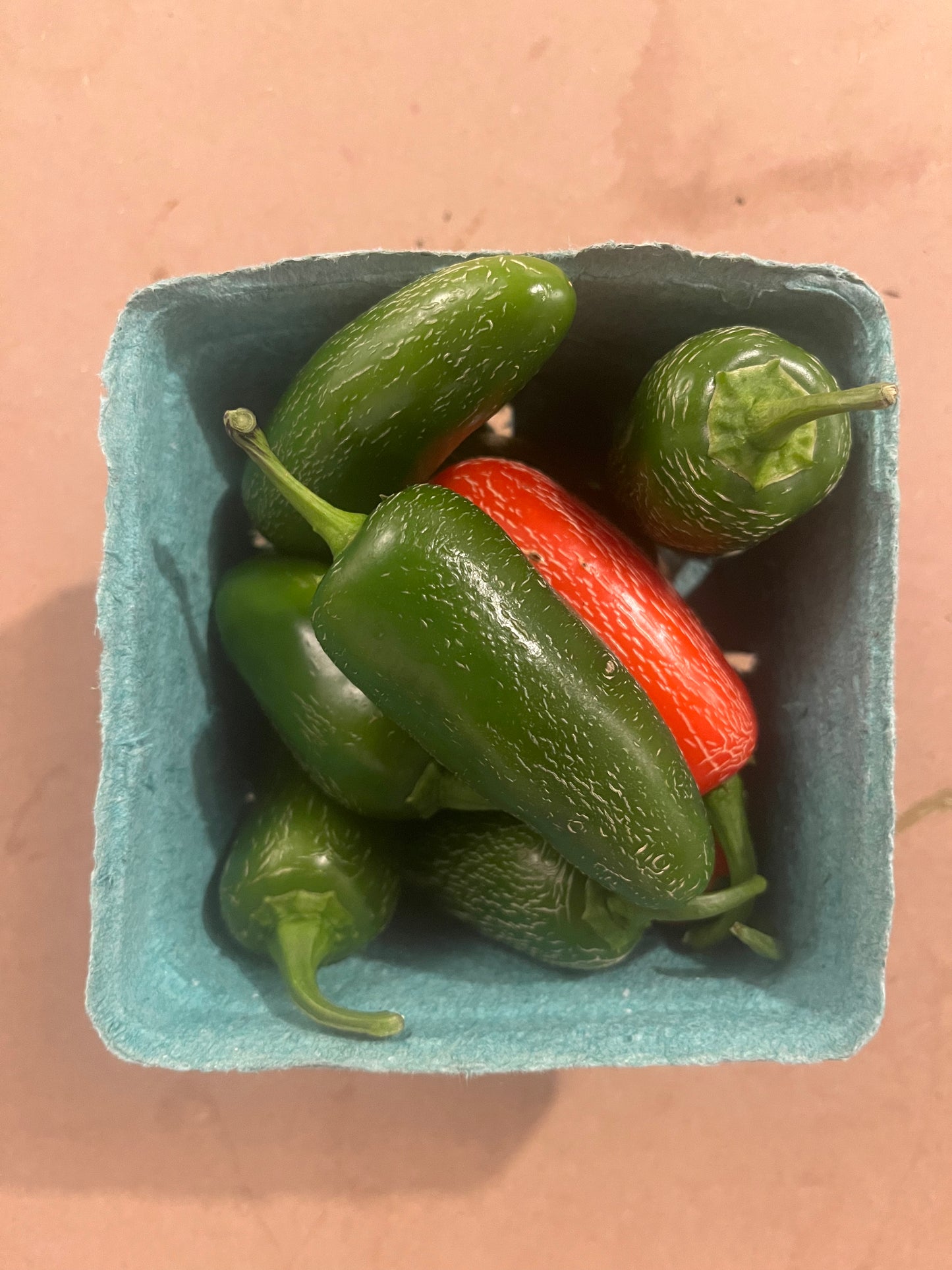 Jalapeño pepper pint