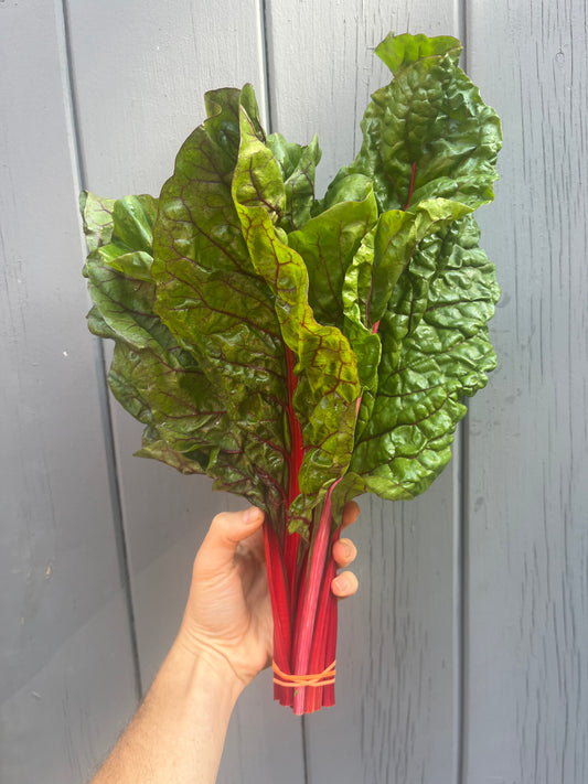 Swiss Chard