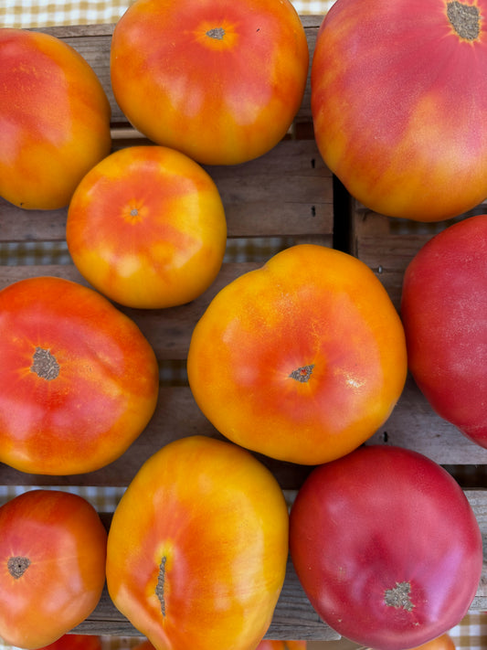 Heirloom Tomatoes by the pound