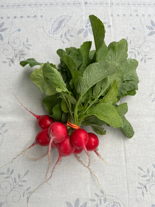Radishes