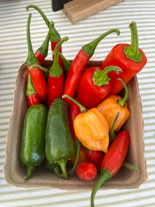 Hot Peppers Medley