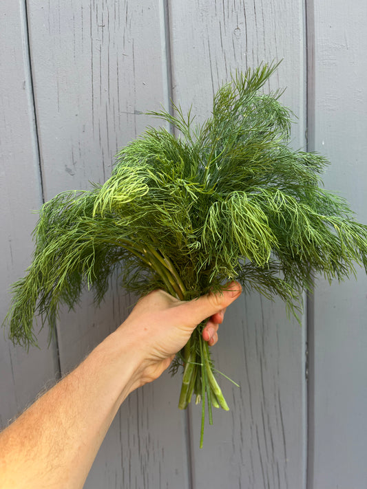 Dill