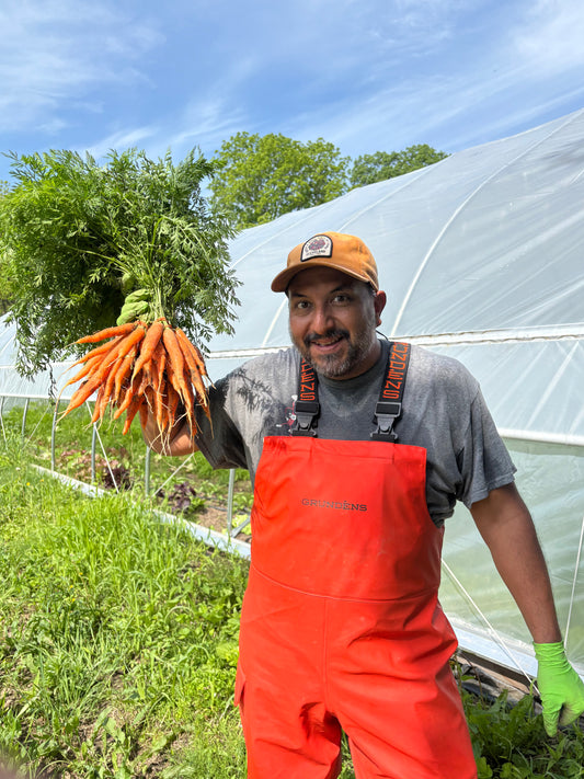 Carrots