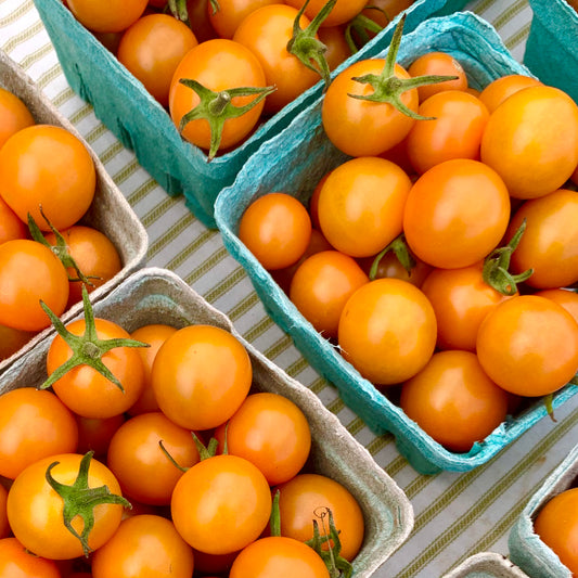 Cherry Tomato
